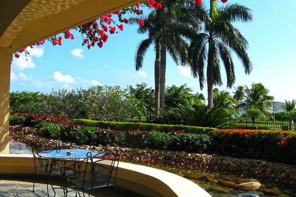 Bellissimo portico dell hotel con vista sulle palme