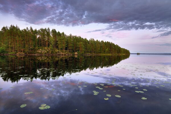 Isla verde en un lago en Suecia