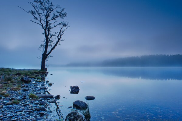 Lago escocés en azul brumoso