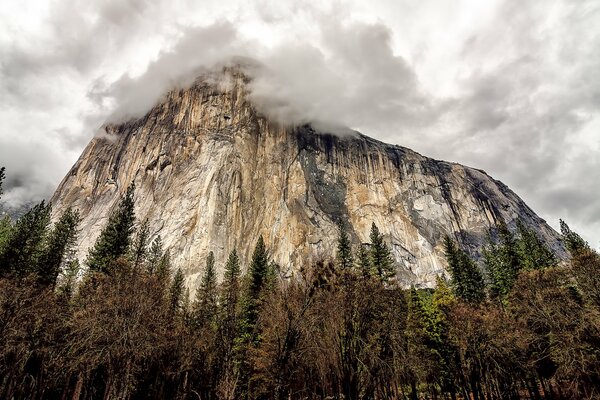 Maestosa montagna tra le nuvole circondata dalla foresta