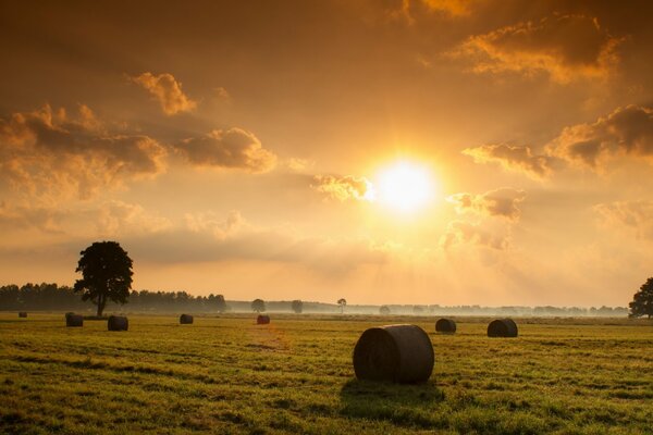 Heu auf einem Feld mit Sonnenuntergang Landschaft