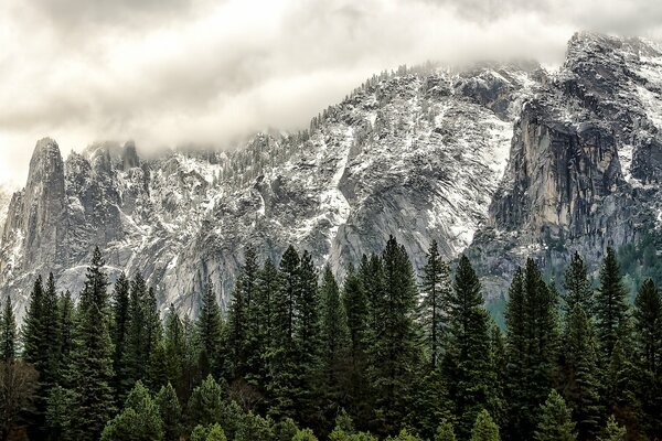 Forest and mountains of Yosemite National Park of California