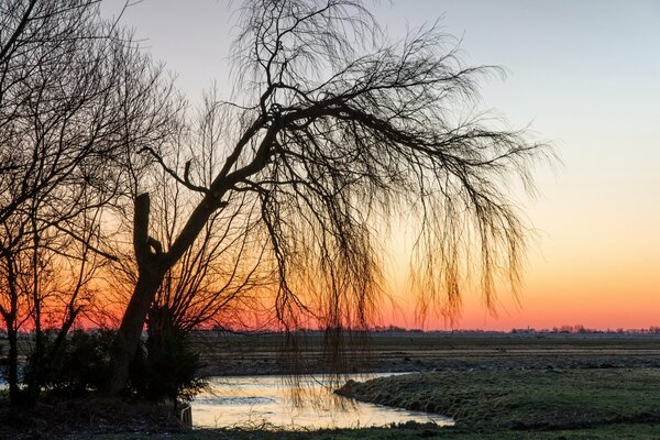 Sunset landscape in the field