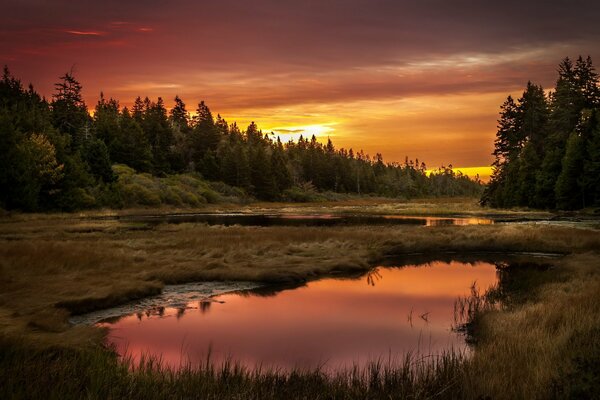 Wald und See bei Sonnenuntergang