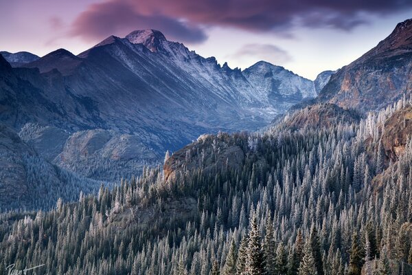 Paesaggio di montagna sulla sala in inverno