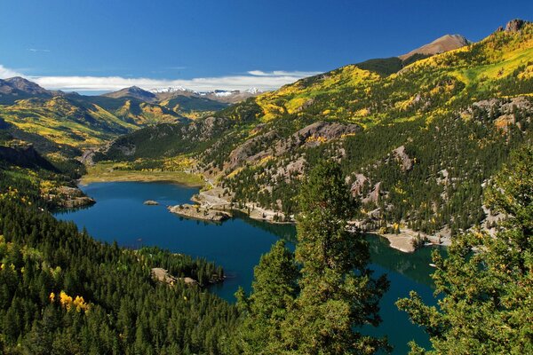 Lago en el bosque verde en las montañas