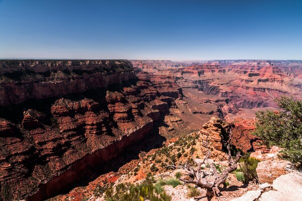 Gran cañón de Arizona Estados Unidos