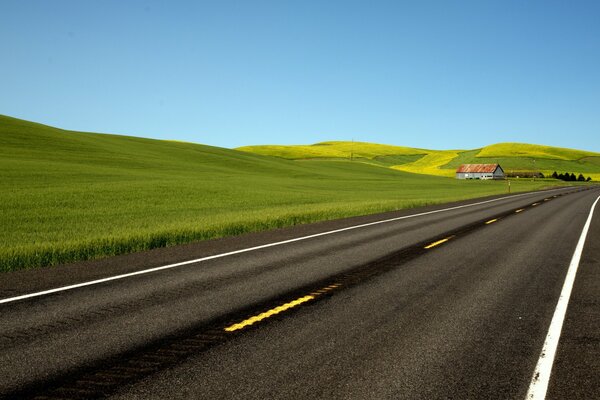 Un largo camino con campos verdes