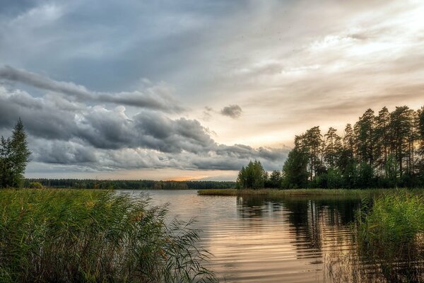 Foce del fiume nell ora prima dell alba