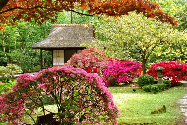 Elegante Jardín japonés floral