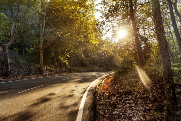 Route d automne avec un beau paysage