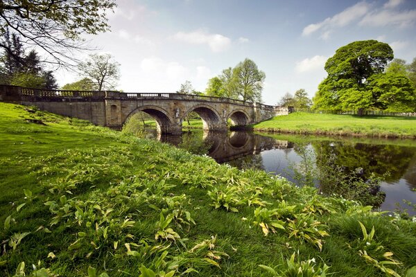 Fluss Brücke Gras Landschaft