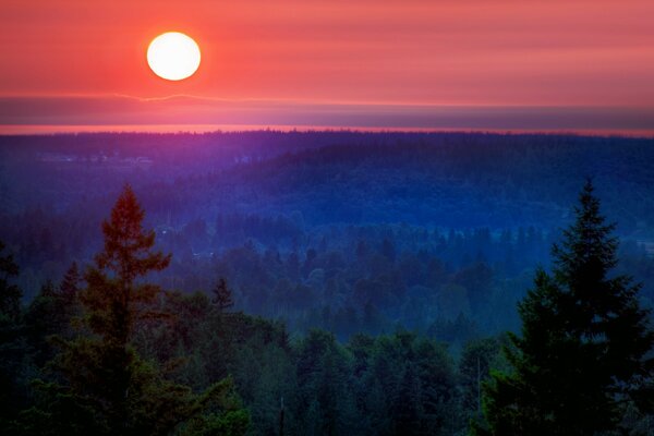 Moon over forest and mountains landscape