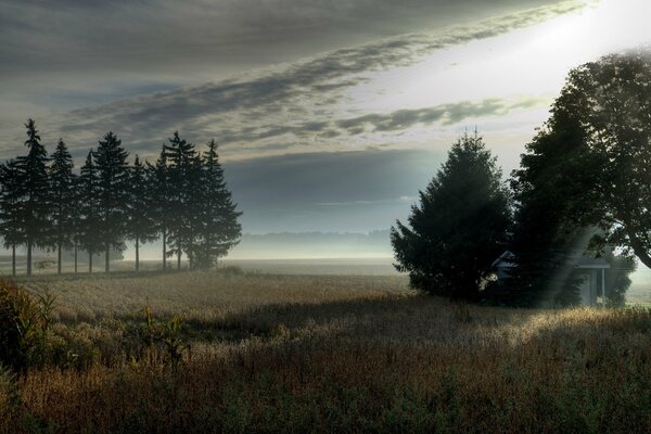 Matin au village. Paysage avec champ