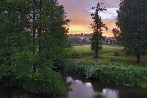 Bäume am Fluss vor dem Hintergrund eines wunderschönen Sonnenuntergangs