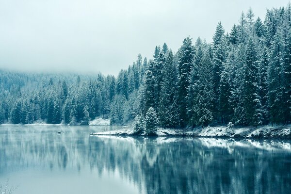 Foreste della Columbia Britannica nel fiume Kootenay