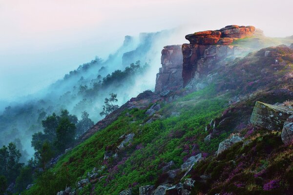 Morning in the mountains, fog on the slope