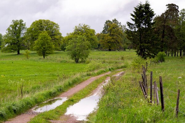 Cerca del pueblo-campos y bosques