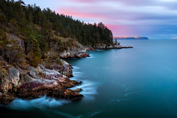 Riva con alberi sulle rocce in Canada