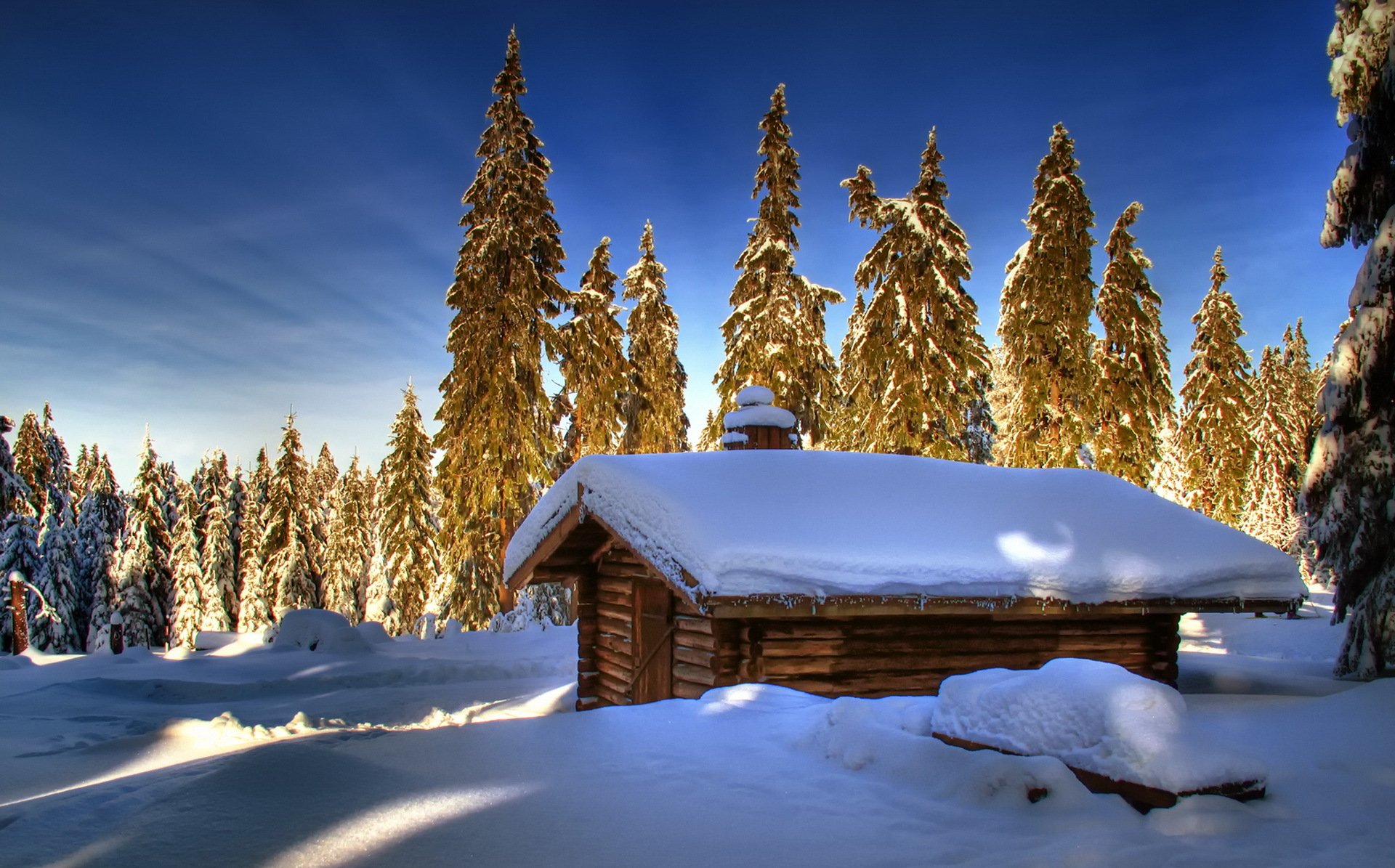 maison arbres ciel