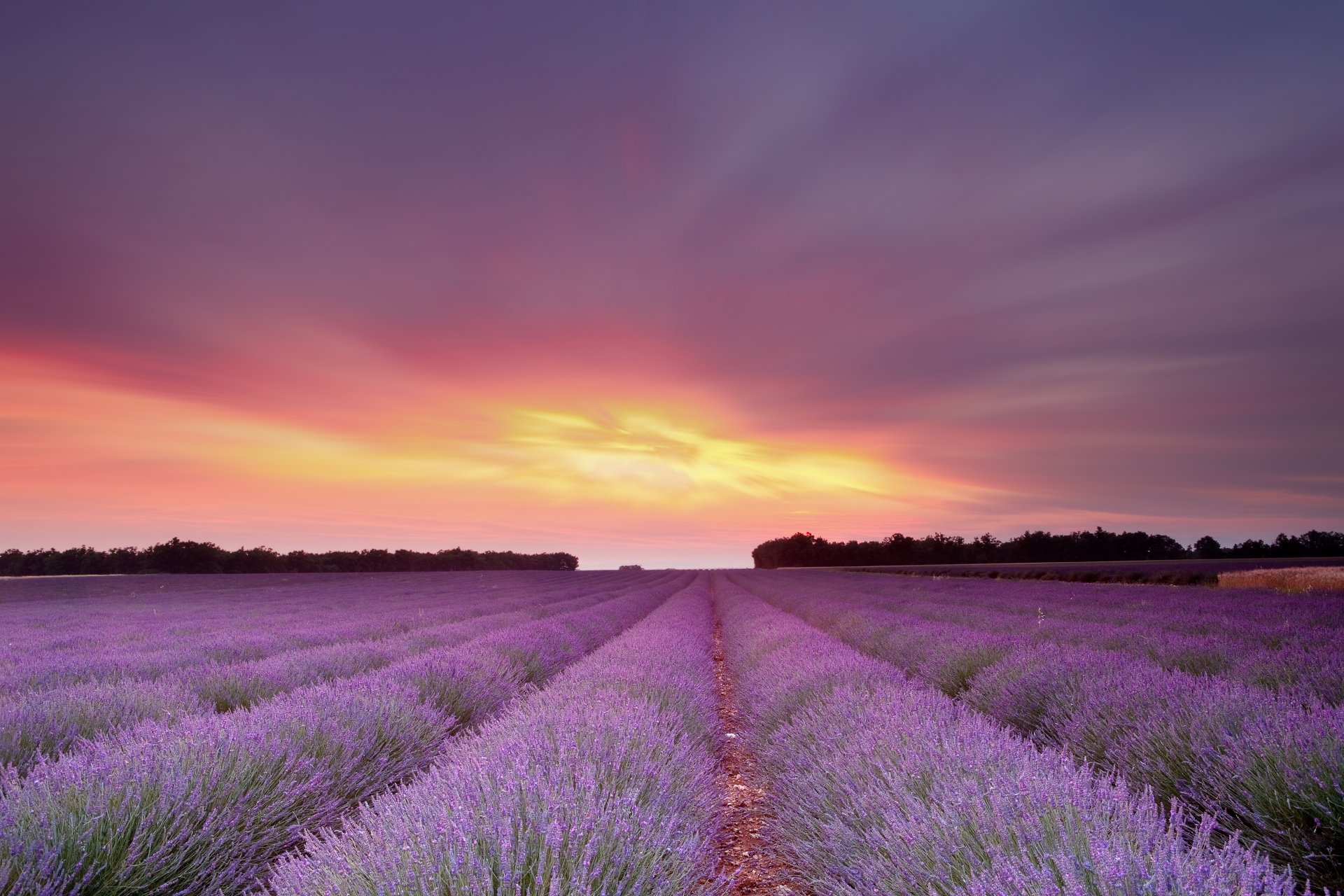 sonnenuntergang sonne himmel feld lavendel blumen