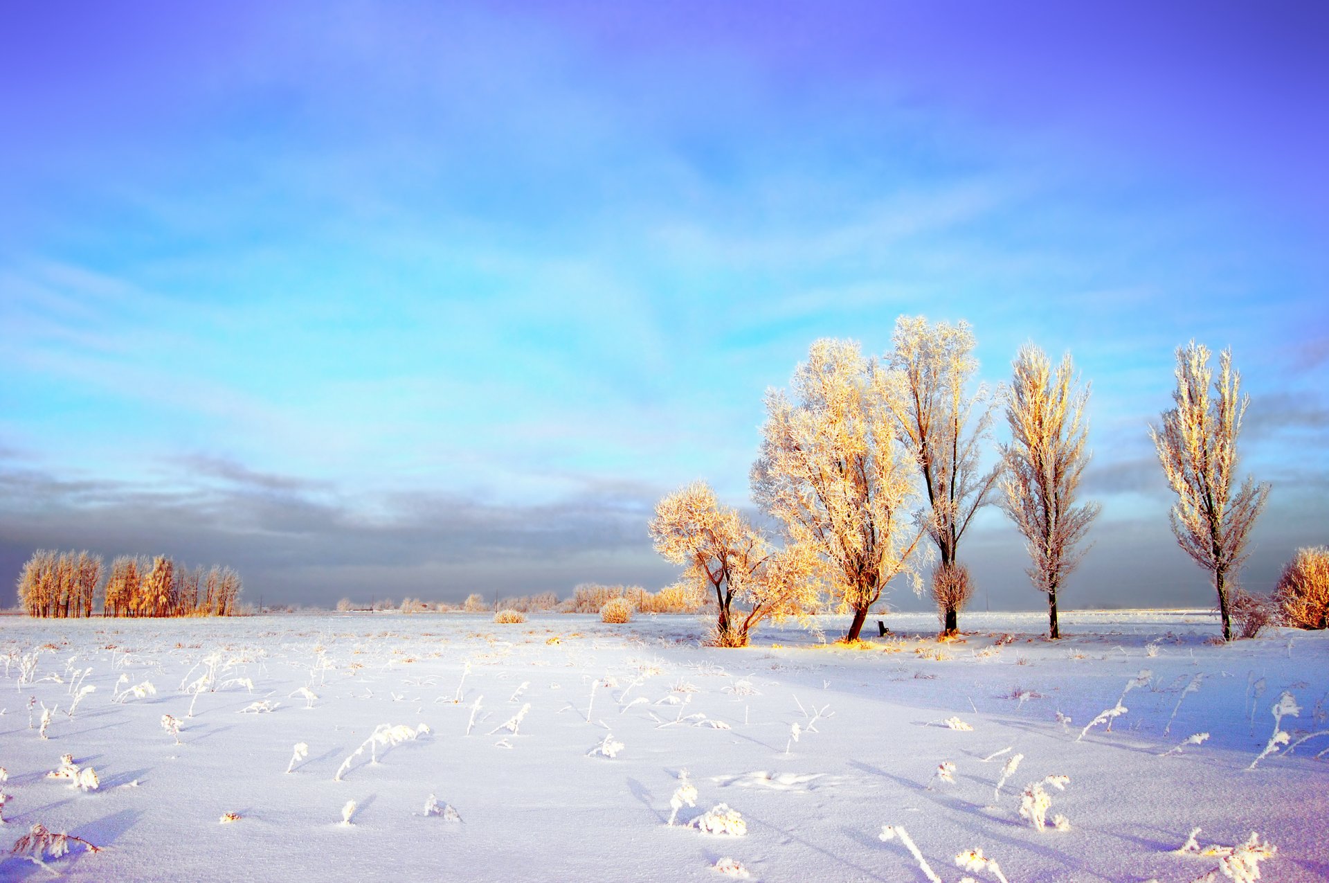 hiver ciel nuages champ neige arbres givre