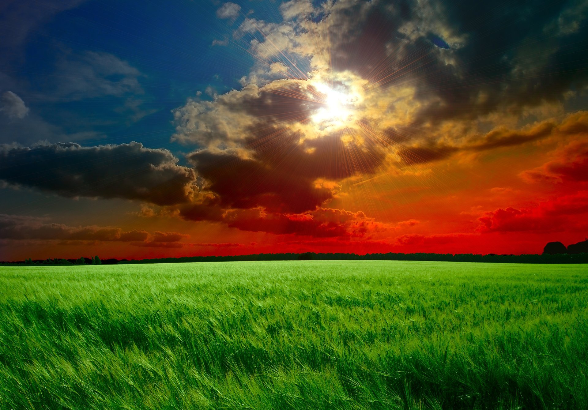 puesta de sol cielo sol rayos nubes nubes campo espigas verde hierba