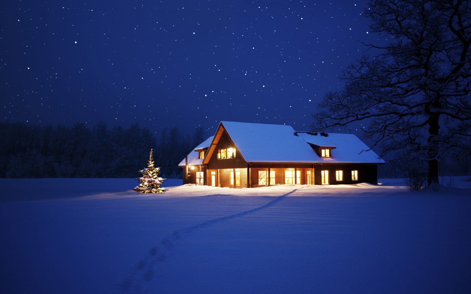 nature landscape snow tree winter house night christmas new year