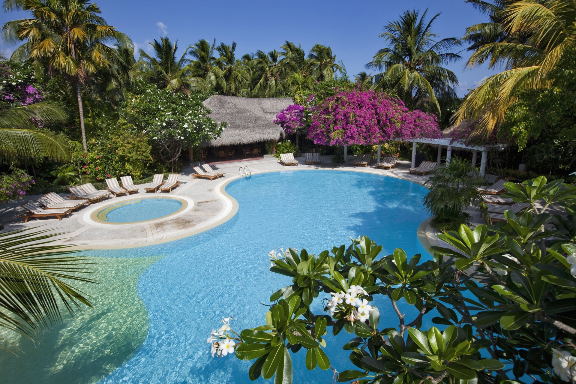 malediven bungalows pool liegestühle palmen bäume natur