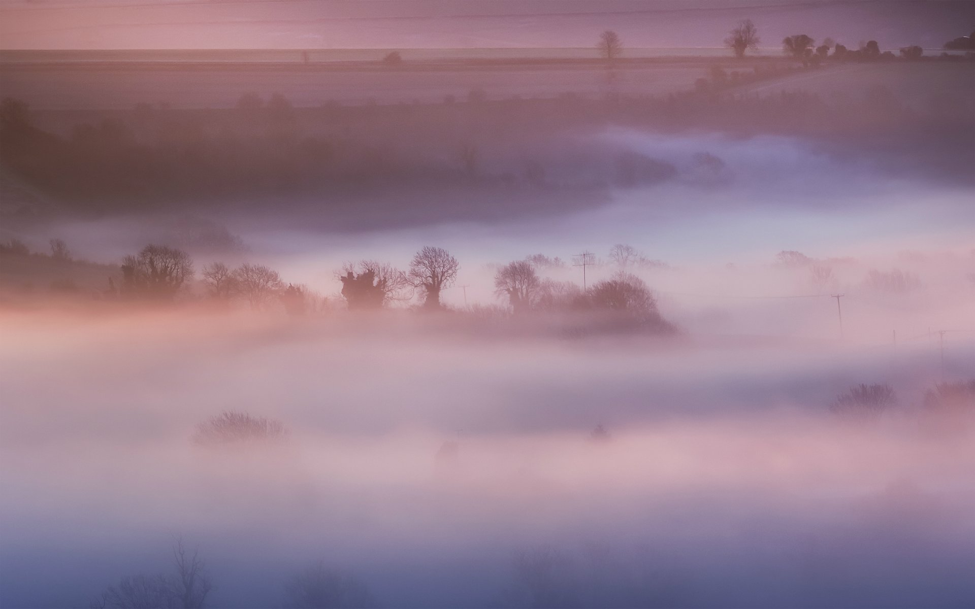 wielka brytania anglia rano drzewa pole natura różowy mgła mgła