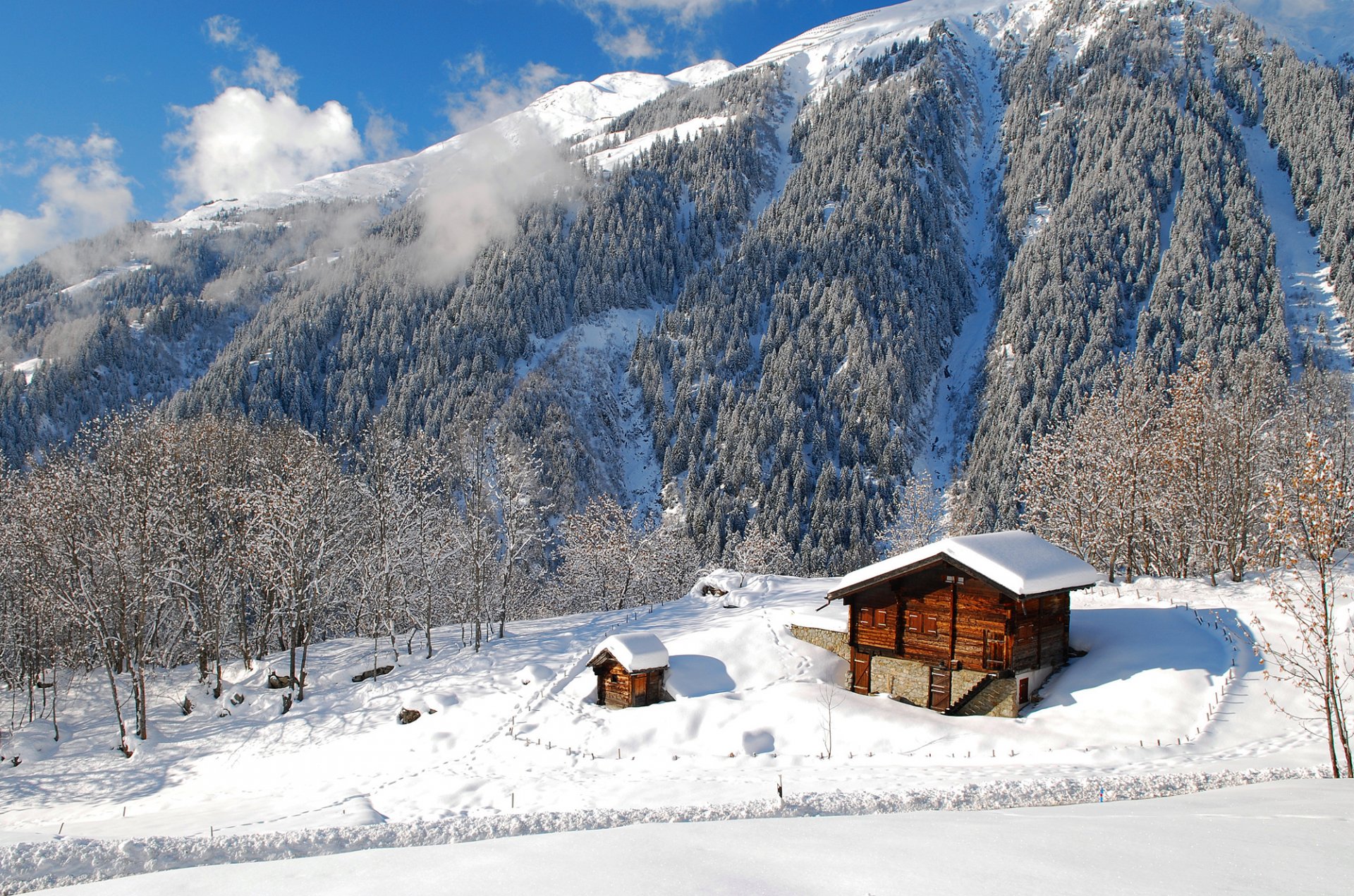 natura paesaggio foresta inverno case montagne alberi neve cielo nuvole