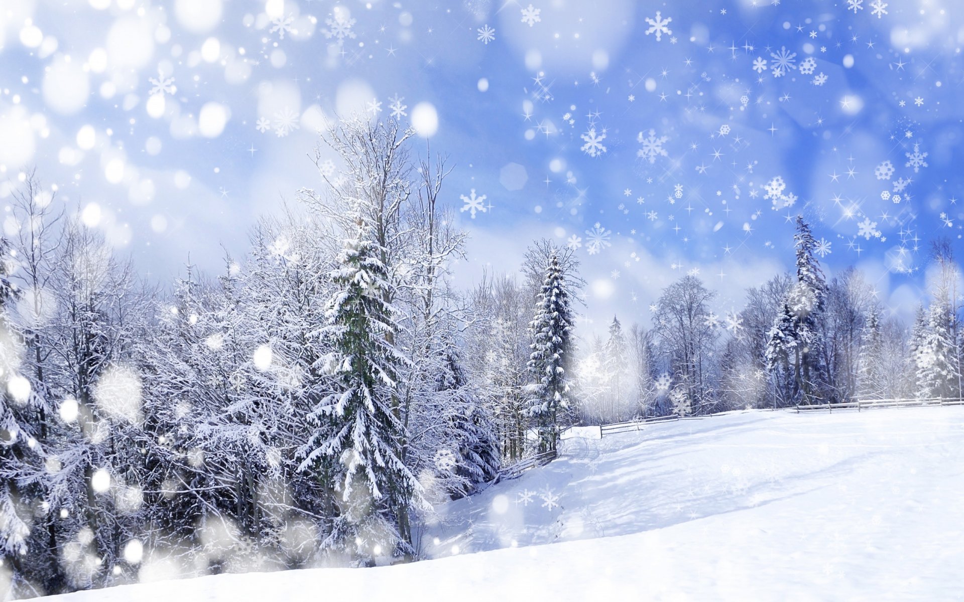 natur landschaft bäume winter schnee berge