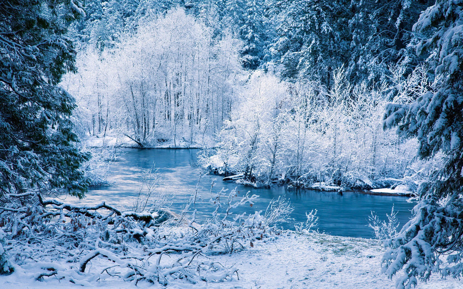 natur wald bäume fluss schnee winter