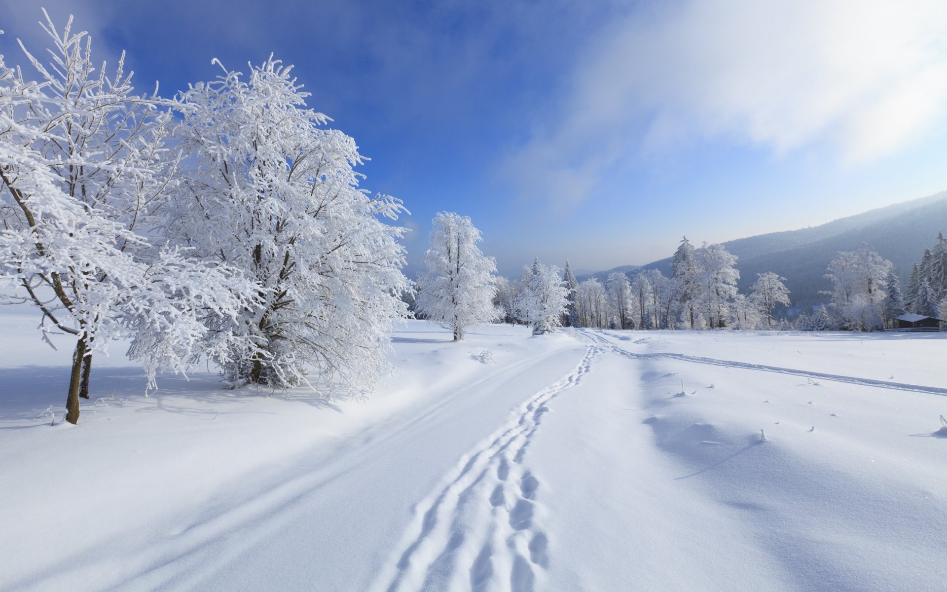 nature paysage neige hiver montagnes ciel nuages arbres