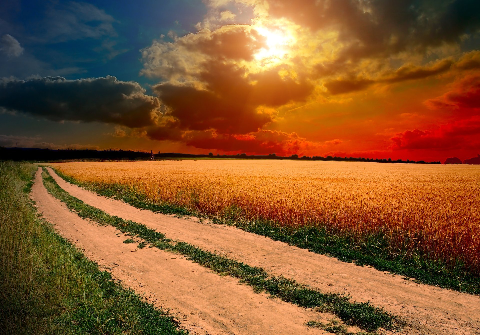 sonnenuntergang sonne himmel wolken feld ohren gras straße wege natur