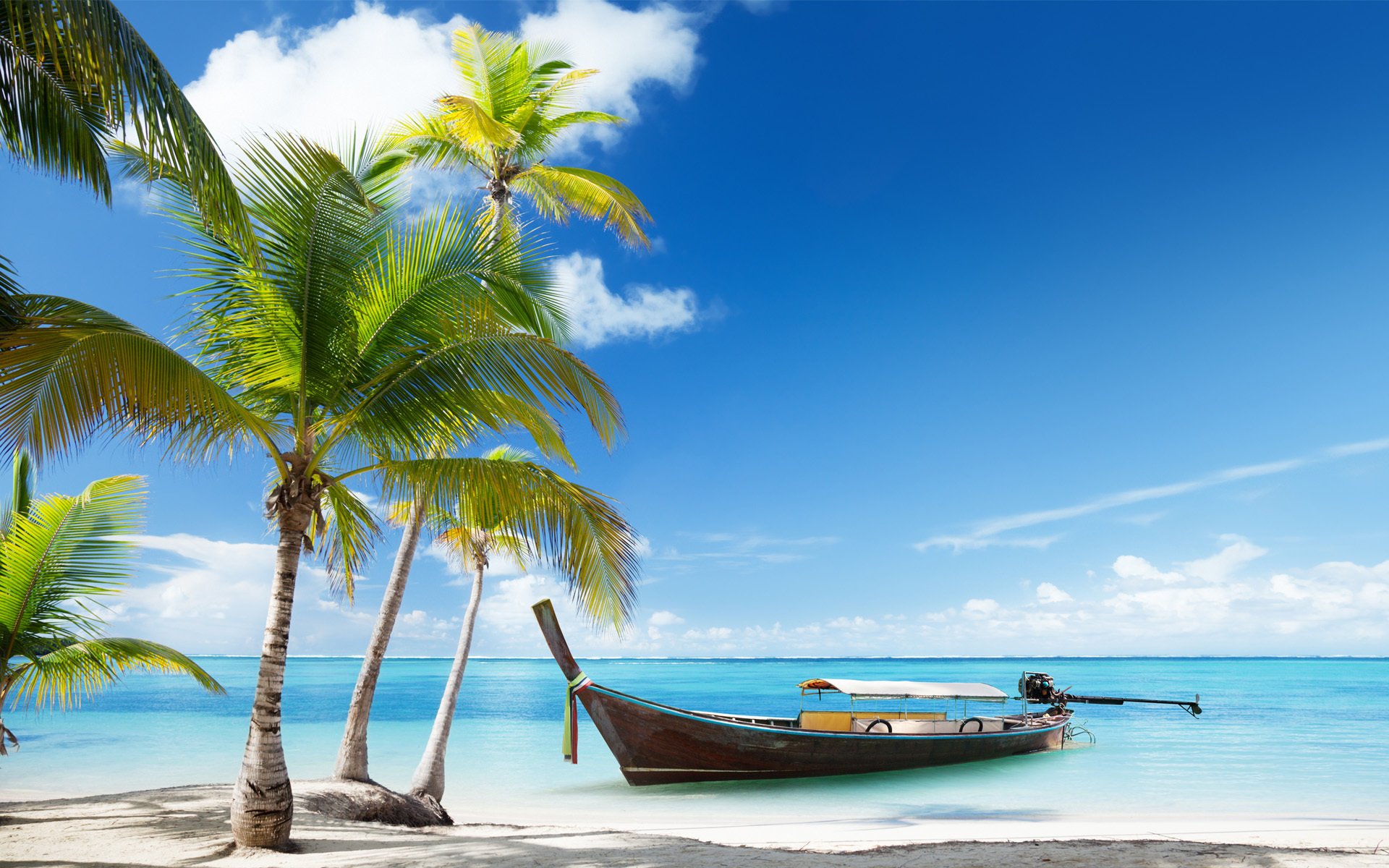 palm trees boat longboat tropics sea clouds sand