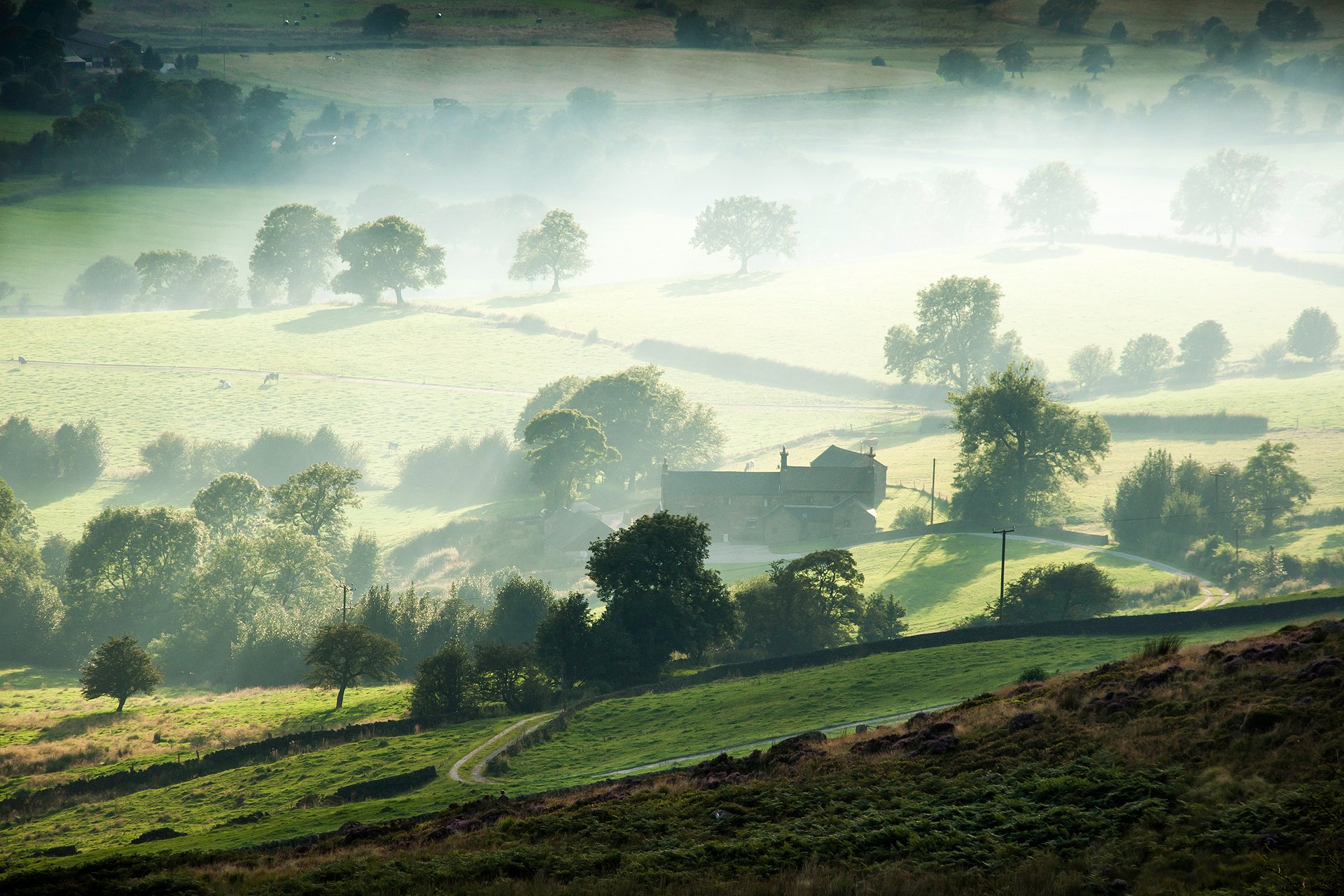 mañana niebla granja valle árboles