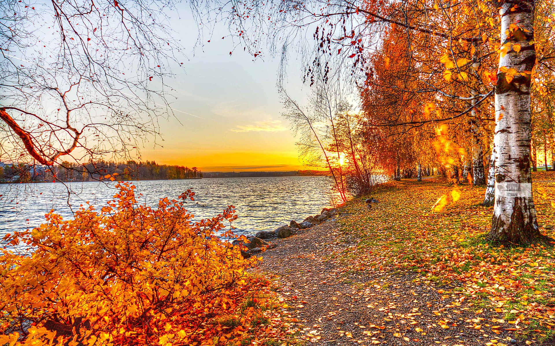 natur landschaft herbst blätter see bäume sonnenuntergang