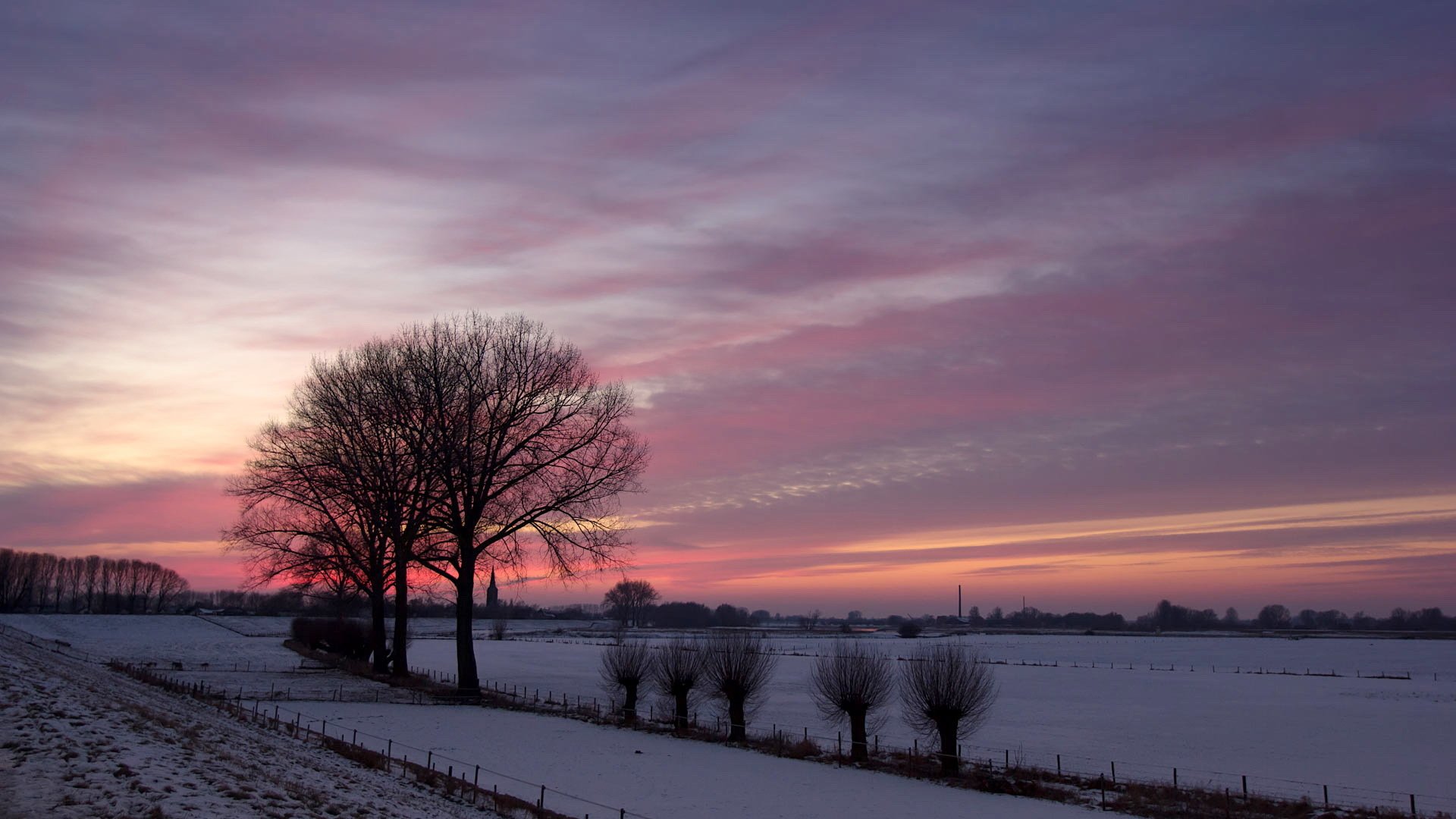 unset winter the field tree nature landscape