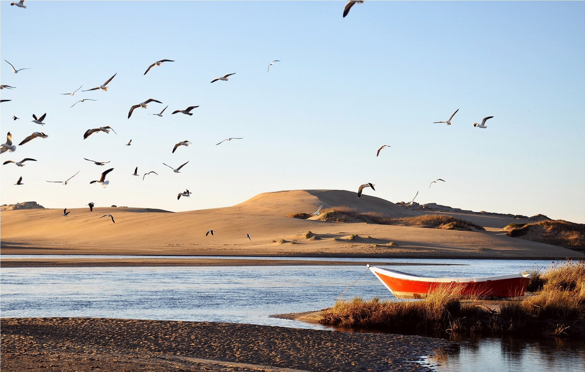 eau bateau rivière dunes sable échoué oiseaux