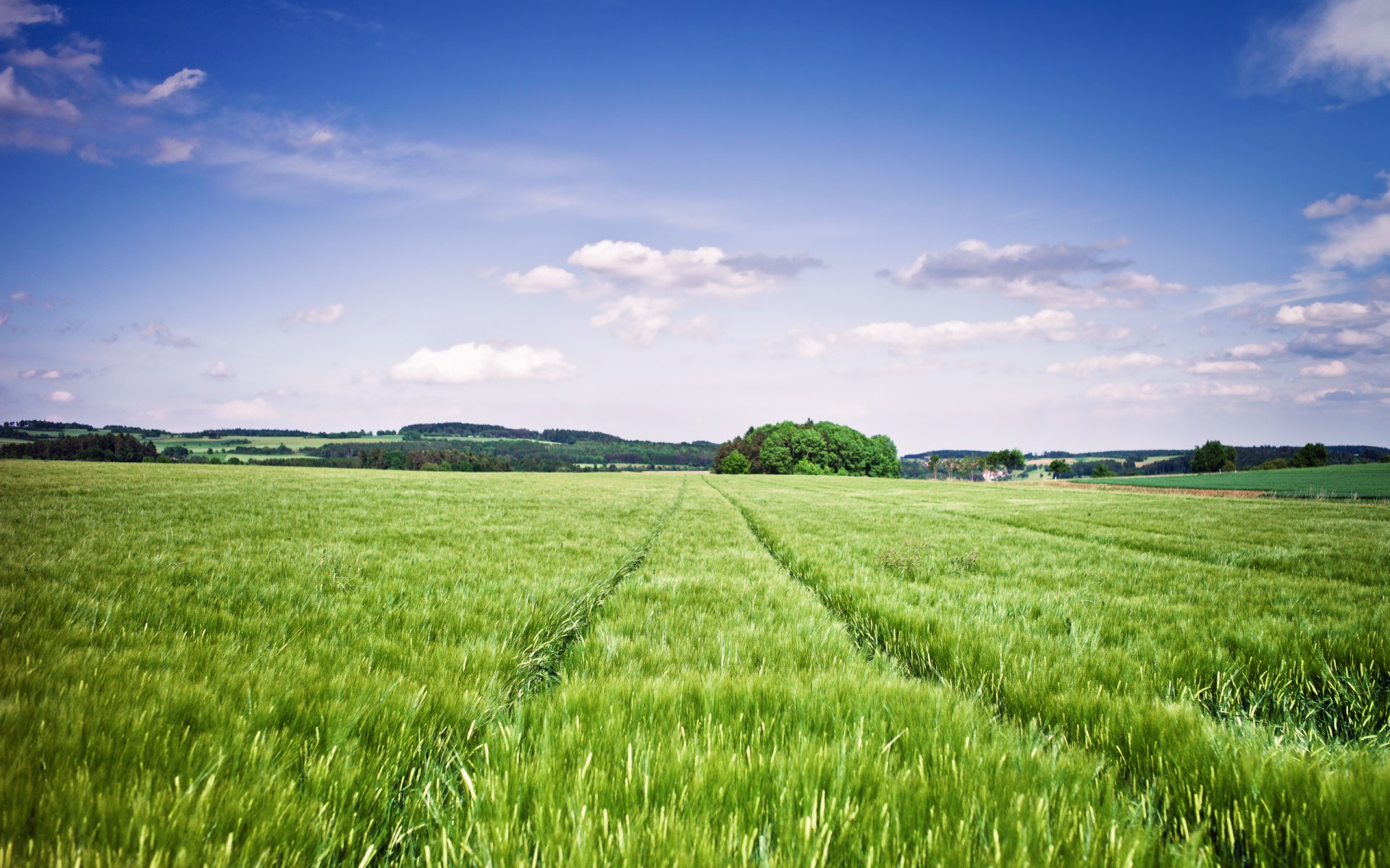 sommer himmel wolken feld ährchen