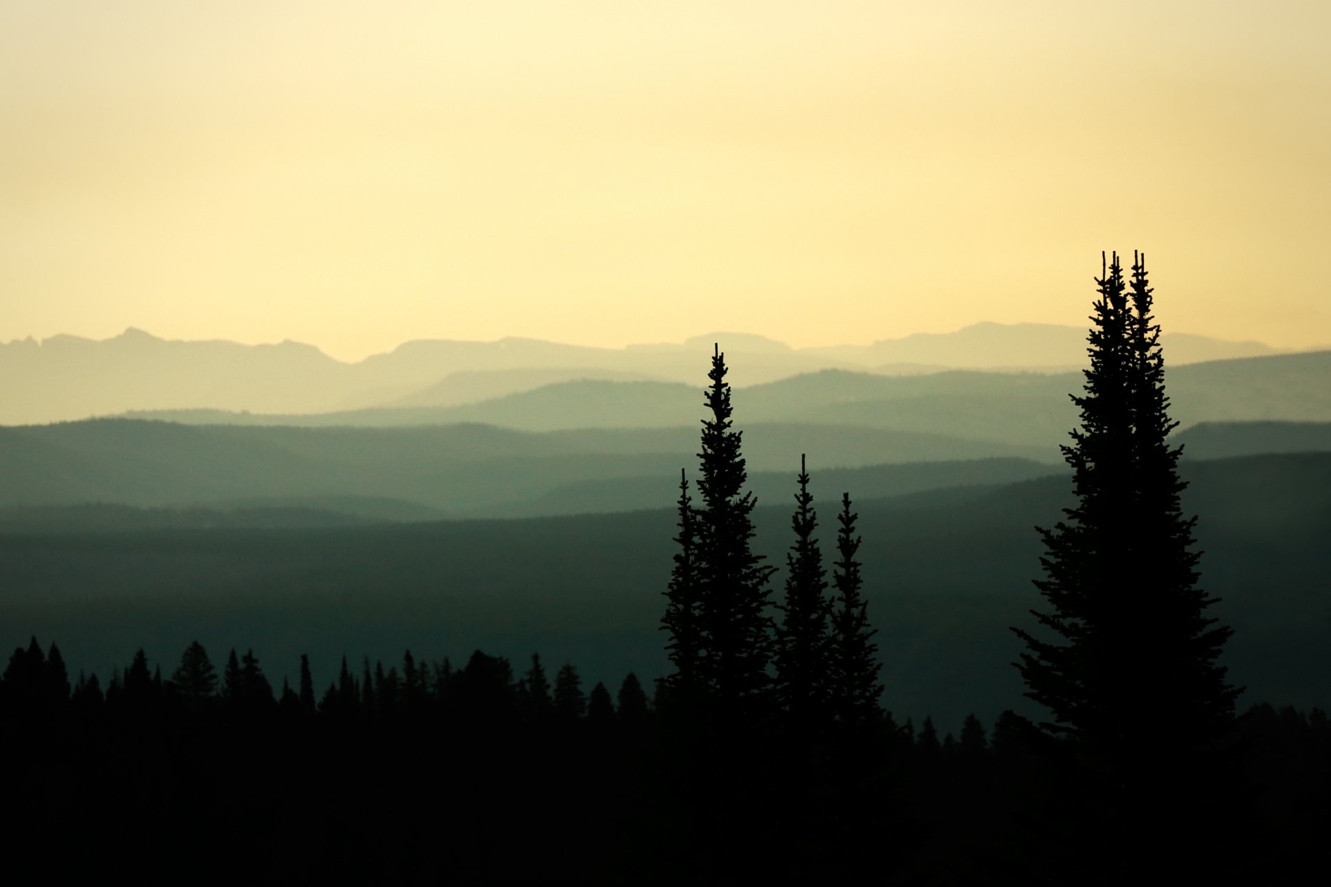 ciel forêt montagnes collines