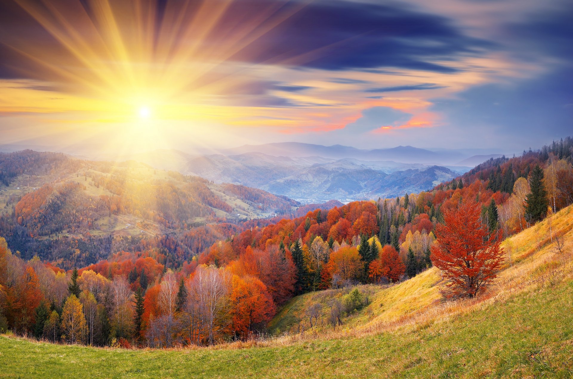 colline alberi fogliame autunno cielo nuvole sole raggi