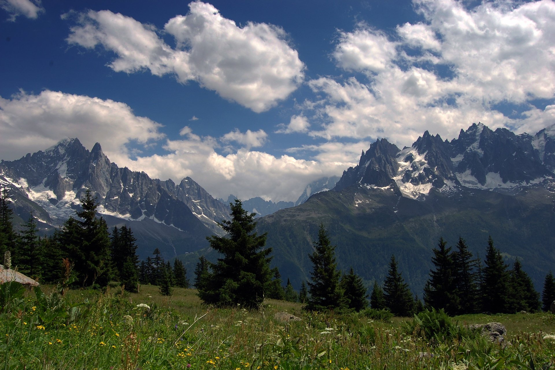 alpi estate montagne cime prati erba fiori foresta cielo nuvole