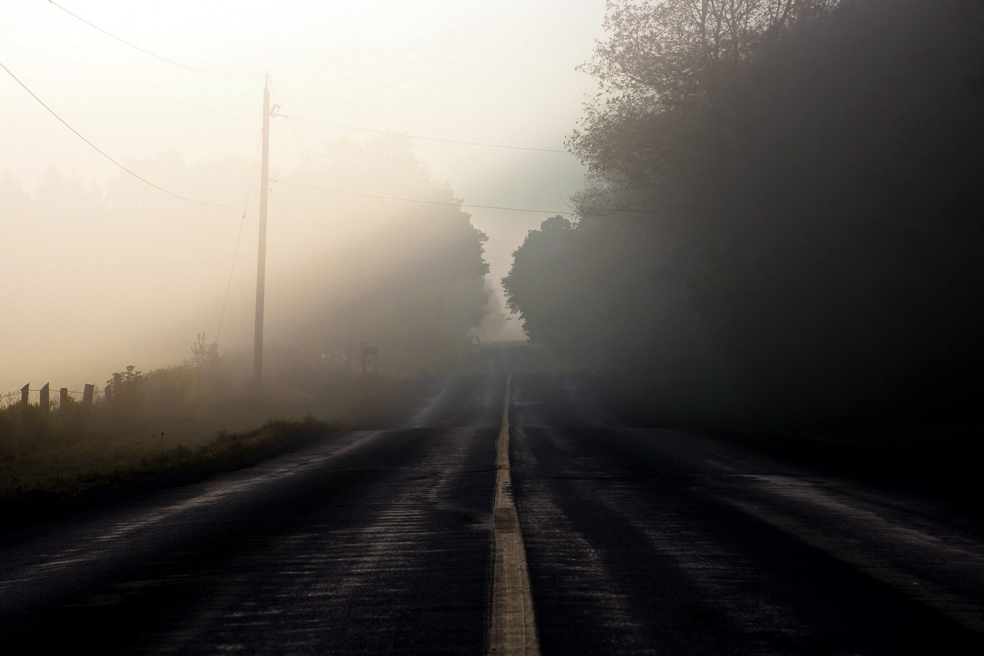 strada mattina nebbia paesaggio