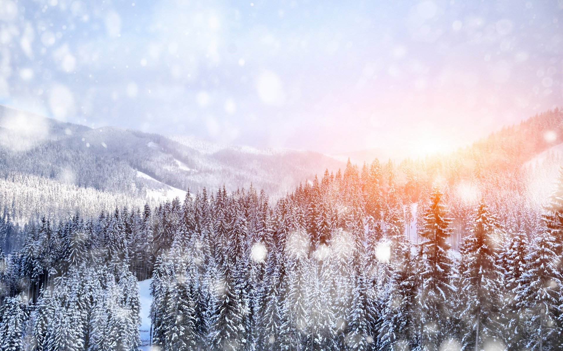 natura paesaggio alberi inverno neve montagne