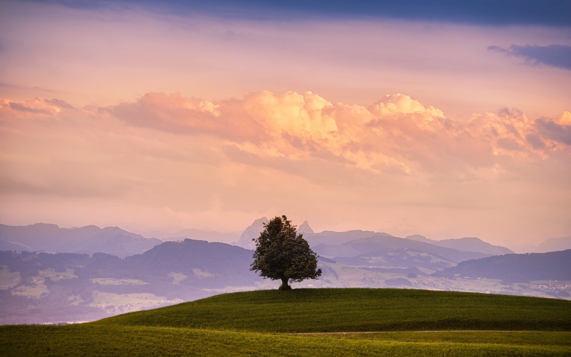 albero campo erba montagne cielo nuvole natura