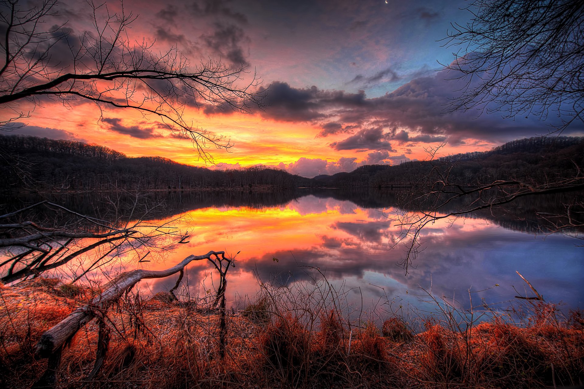 unset night lake forest water tree branches sky clouds reflection