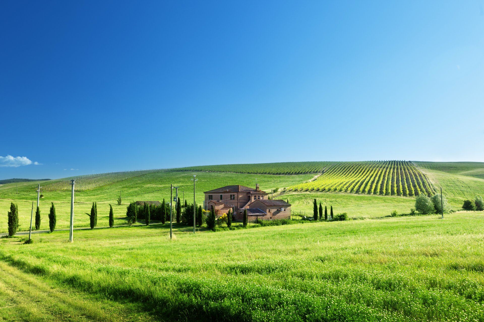 casa poste campo vigneti erba verde strada sentiero alberi