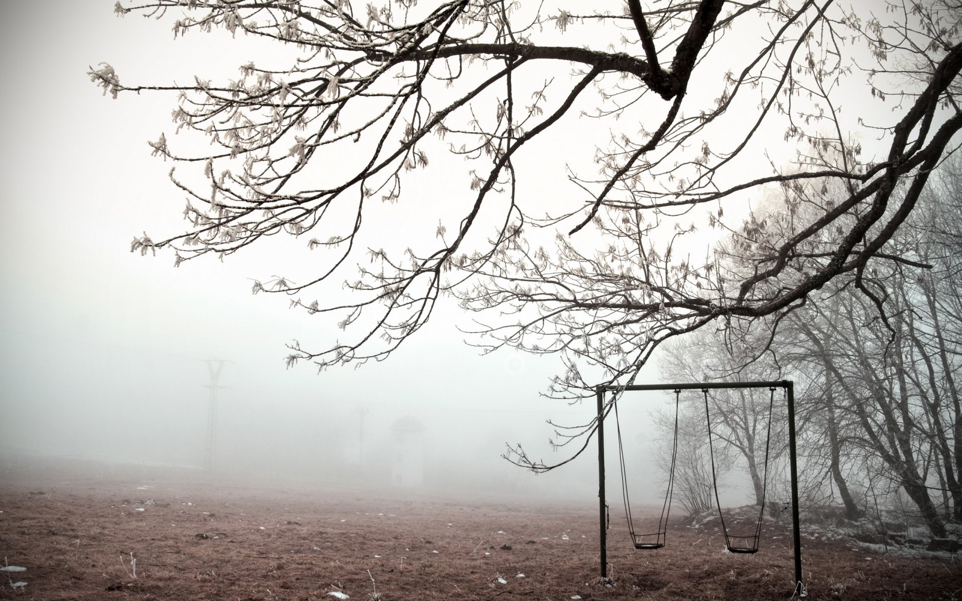 inverno altalena nebbia